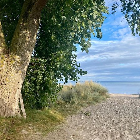Feriendorf Suedstrand Haus 09 Пелцерхакен Екстериор снимка